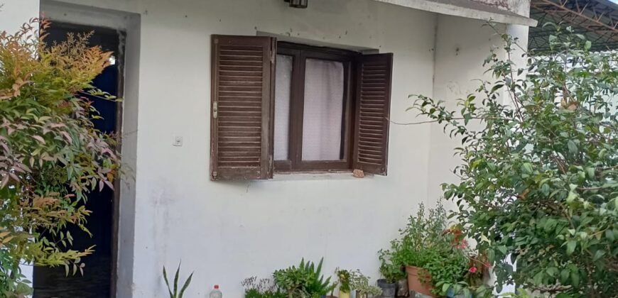 CASA – COLONIA SILVA