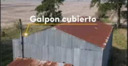 CAMPO AGRÍCOLA – LA CRIOLLA