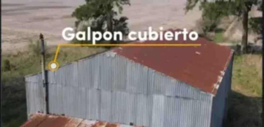 CAMPO AGRÍCOLA – LA CRIOLLA