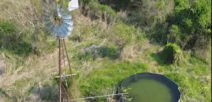 CAMPO AGRÍCOLA – LA CRIOLLA