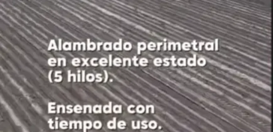 CAMPO AGRÍCOLA – LA CRIOLLA