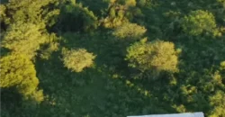 CAMPO –  COLONIA EL 80