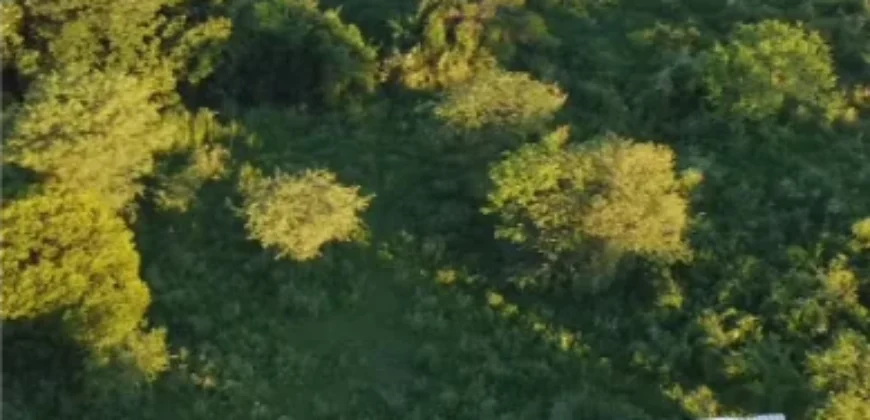 CAMPO –  COLONIA EL 80