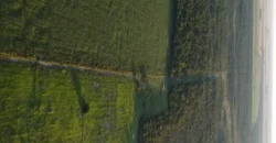 CAMPO –  COLONIA EL 80