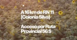 CAMPO –  COLONIA EL 80