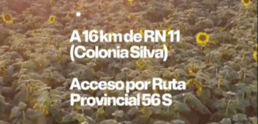 CAMPO –  COLONIA EL 80