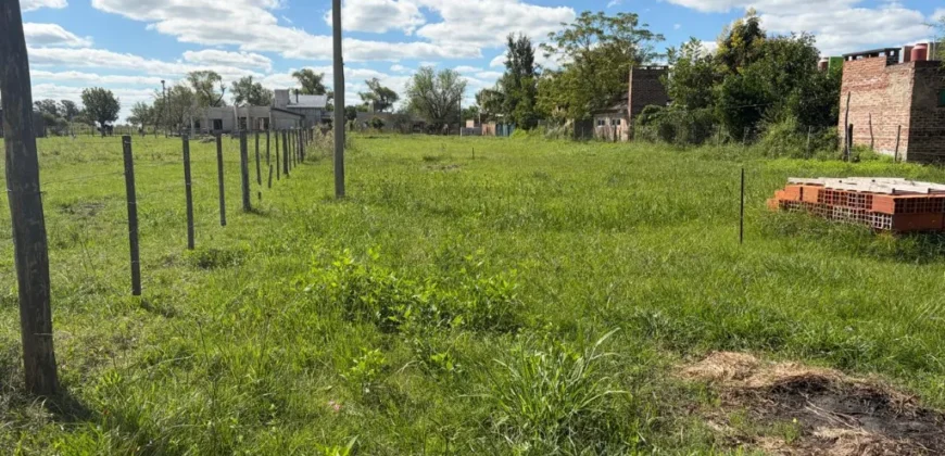 TERRENO – LA CRIOLLA