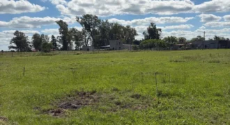 TERRENO – LA CRIOLLA