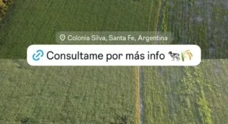 CAMPO – COLONIA SILVA
