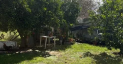 CASA – LA CRIOLLA