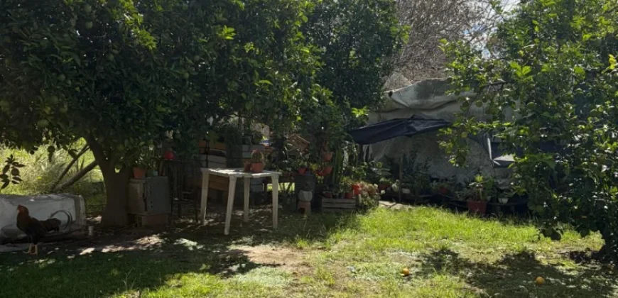 CASA – LA CRIOLLA