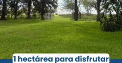 CASA – COLONIA SAN JOSE