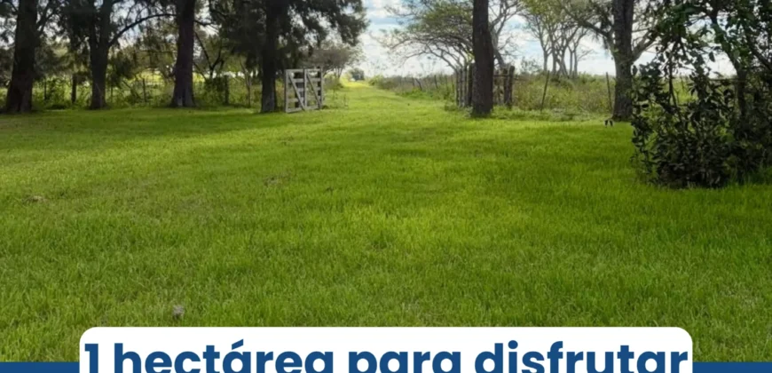 CASA – COLONIA SAN JOSE